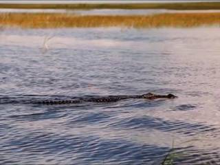 Молодые деревенские порно